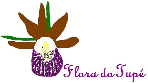 [Flora do Tupé]